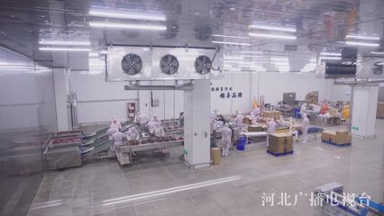 疫情要防住 經濟要穩住 發展要安全——河北省市場監督管理局‘三助工程’精準服務惠康企業紀實